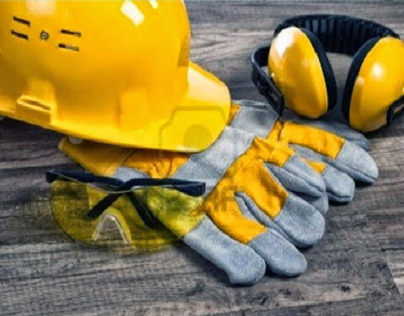 WORKPLACE HEALTH & SAFETY SERVICES: Pro Safety Group