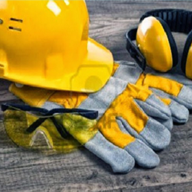 WORKPLACE HEALTH & SAFETY SERVICES: Pro Safety Group